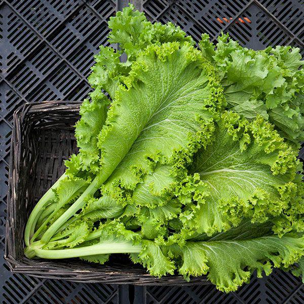 Cải canh tốt cho sức khỏe nhưng những người này không nên ăn